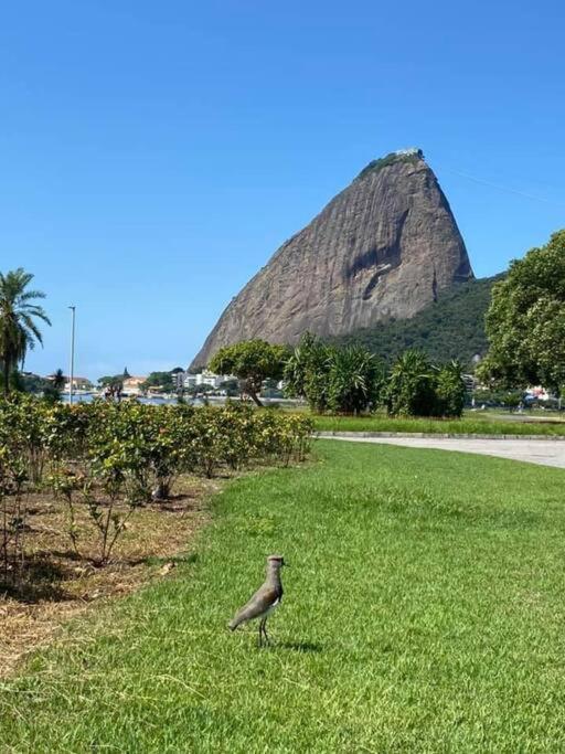 Appartamento Casal No Flamengo Rio de Janeiro
